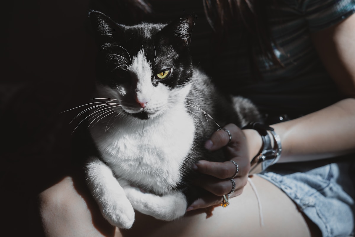 Join Our Pet Community